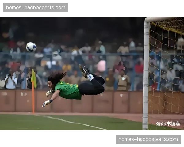 葡萄牙哥伦比亚中场控制权争夺 B费领衔面临南美身体对抗